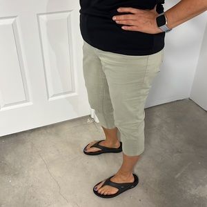 Bandolino Khaki Green Capri Pants